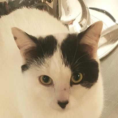 Val_Az_'s profile picture. Bonjour