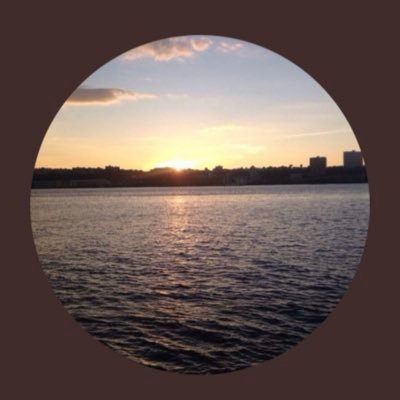 Paolafrap's profile picture. Finding value in originality. Whipped at 35.