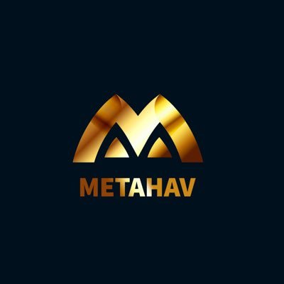 Metahav