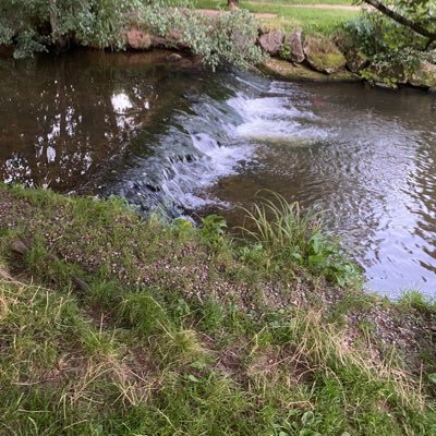 MrsMS1984's profile picture. 