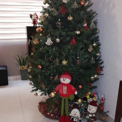 ingJuan83's profile picture. Ingeniero Electrónico Mención Mecatrónica, con la Esperanza de una mejor Venezuela. no emitas juicios de valores sobre otros si aún no conoces tu valor propio.