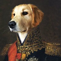 Bolchegypte (@siralexandre57) 's Twitter Profile