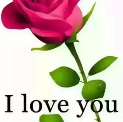 Bikash940645431's profile picture. 