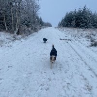 chris ibbotson (@chrisibbotson9) 's Twitter Profile