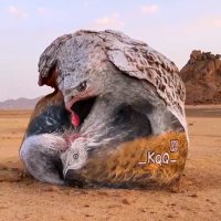 عبدالله العنزي (@abdullahalenzis) 's Twitter Profile