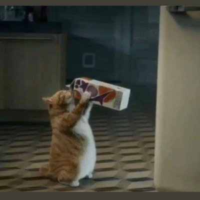 deadwiffe's profile picture. A woman.