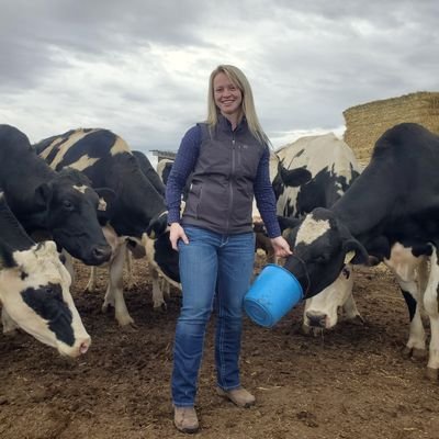 Ruminant Nutrition Consultant in Alberta.
Instagram *feed*: cowchowmik