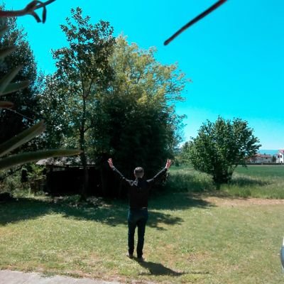 domenico6208's profile picture. 