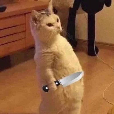 issapizzacake's profile picture. free palestine 🇵🇸