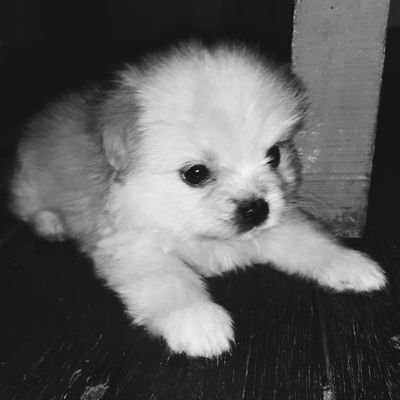 Nemrad Baron ♻️ Profile