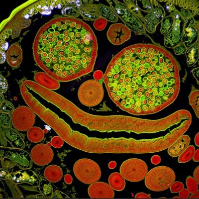 terralicious's profile picture. 🌖🌗🌘 ττ 🌒🌓🌔                                          Subtle shuffles and microgrooves