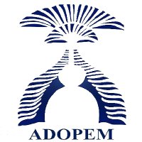 Centro de Capacitación ADOPEM(@AdopemASFL) 's Twitter Profile Photo