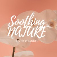 Soothing Nature River Channel (@riversoothing) Twitter profile photo