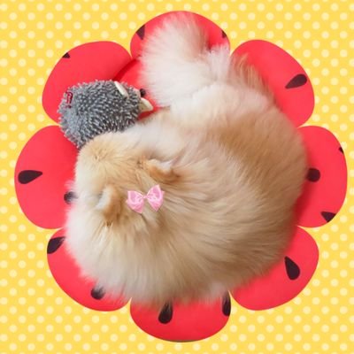 みち草くるり🍀さんのプロフィール画像