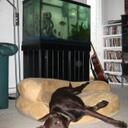 Justin Gallant - @gall1988 - Twitter