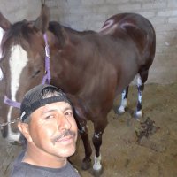 leonel 🐭 🐎🤠(@leonel50999172) 's Twitter Profile Photo