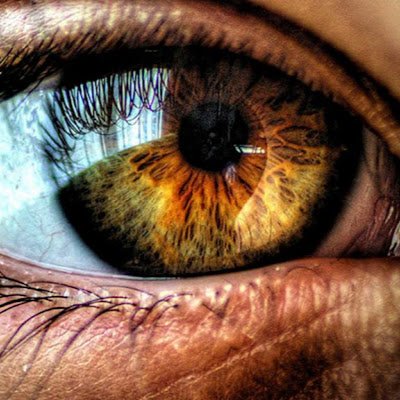 karcinov's profile picture. 