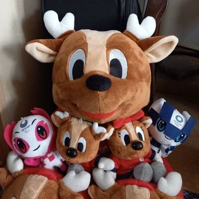 ミラソメ🌸💙アントラーズ🦌ニータン🐢オクトパスくん🐙ちいかわ✨ピスケとうさぎ🐰🐔などキャラクター全般の呟き多いw(*^_^*)圧倒的ニータン(トワントワン🐢)保護者&特大しかお🦌特大ソメイティ🌸オーナー※Disney、USJ、SANRIOも好き🥰