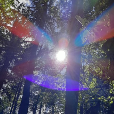 Seelencoach1's profile picture. Im Einklang mit Körper, Geist & Seele - Spirituelle Lebensberatung und geistig-energetische Heilarbeit