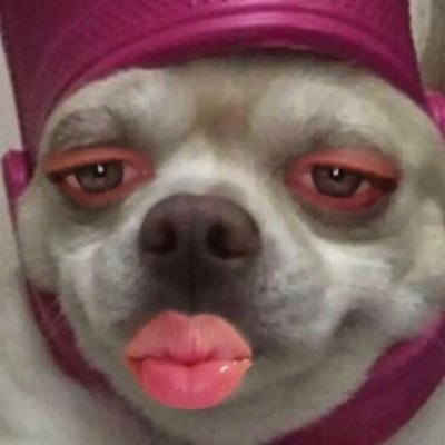 AlexisJ2k21's profile picture. 