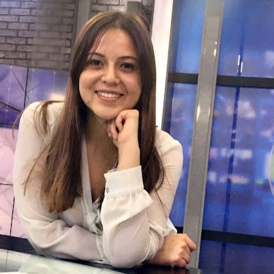 Periodista cultural