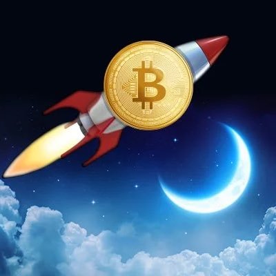 HodlStrategie Profile Picture