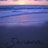 SenecaGarcia's profile image