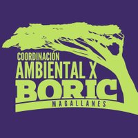 Coordinación Ambiental X Boric Magallanes (@ambientalxboric) 's Twitter Profile