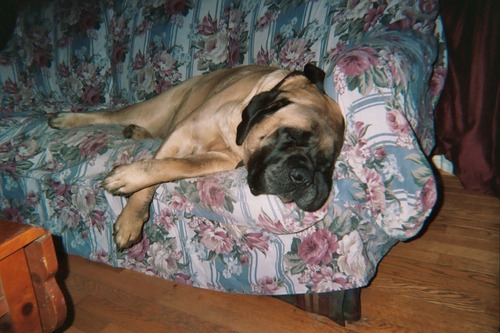 allskins2's profile picture. Die Hard Redskins fan for over 40yrs.