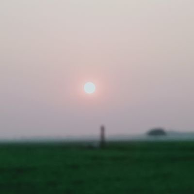 Tarekmonoar91's profile picture. 