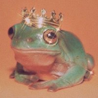 Isac Horton (@froggyisking) 's Twitter Profile
