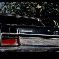 WhipFlix® (@whipflix) 's Twitter Profile