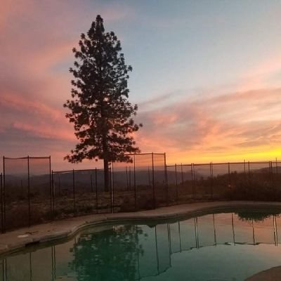 SuperCoolCube's profile picture. 
