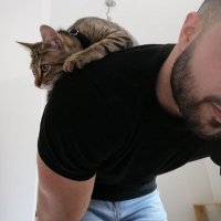 ROMAIND (@doublevetr) 's Twitter Profile Photo ROMAIND (@doublevetr) 's Twitter Profile Photo