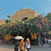 Thai Xuan Vu (@thaixuanvu5) 's Twitter Profile