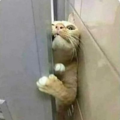 PrietoDiago's profile picture. 