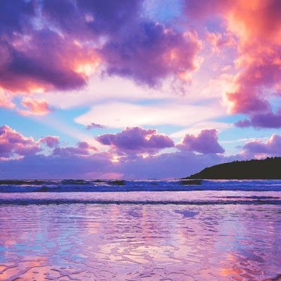 PhD Candidate Neuroscience & Behavior
University of Massachusetts, Amherst