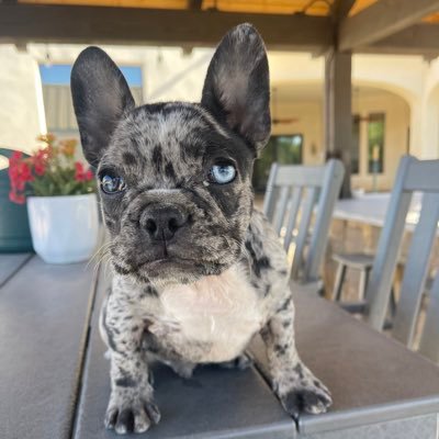 AzBradW's profile picture. 