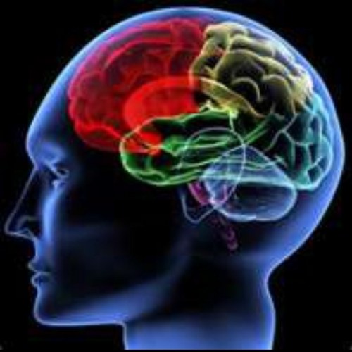 lrxmonroe's profile picture. Do you, your child, or other family members have learning or reading struggles? If so, you have come to the right place for help.