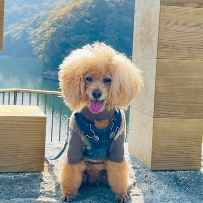 hanako3rd_v6's profile picture. デビューと共にV6ファンになり、10周年を前に一旦離脱、25周年を機に出戻り今もワンフー。2024年には唐突にＡぇ! groupにどハマりした、相当いい年のオタクです。Vは夕ドロ&オバドラ贔屓のヒロシ担。Ａは限界せーけんオタクの末澤担(つまり小島も好きすぎる) 無言フォローすみません💦