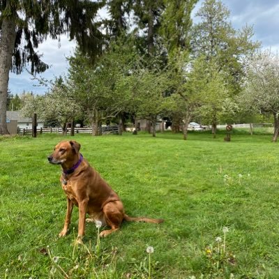 hotmess2018's profile picture. BLM, Feminist, Queer🏳️‍🌈 Protect Voting Rights. 🇺🇦 Ukraine will prevail. 🐝☕️📚💙