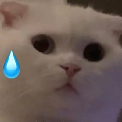 Wr0neee's profile picture. 📴