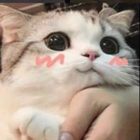 พันดวงดาว🌞🌙 (@lonely__58) 's Twitter Profile Photo พันดวงดาว🌞🌙 (@lonely__58) 's Twitter Profile Photo