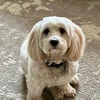 Gary & Lili (@lilicalifornie) 's Twitter Profile Photo