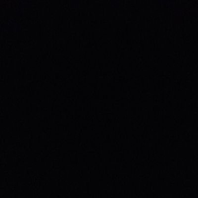 orangutannnnnnn's profile picture. 