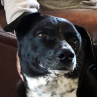 Elliott Evans (@cleancutglass) 's Twitter Profile
