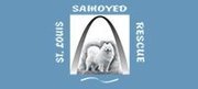 Devoted to rescuing Samoyeds and matching them with their forever families, one Sam at a time.