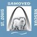 STL Samoyed Rescue (@stlsamrescue) Twitter profile photo STL Samoyed Rescue (@stlsamrescue) Twitter profile photo