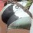 ┳田丁 融合猿のアイコン