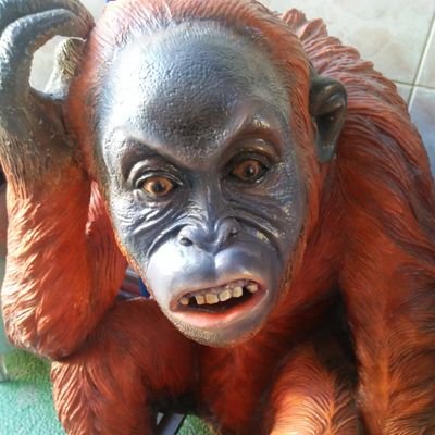 BANTAYPINTO's profile picture. 